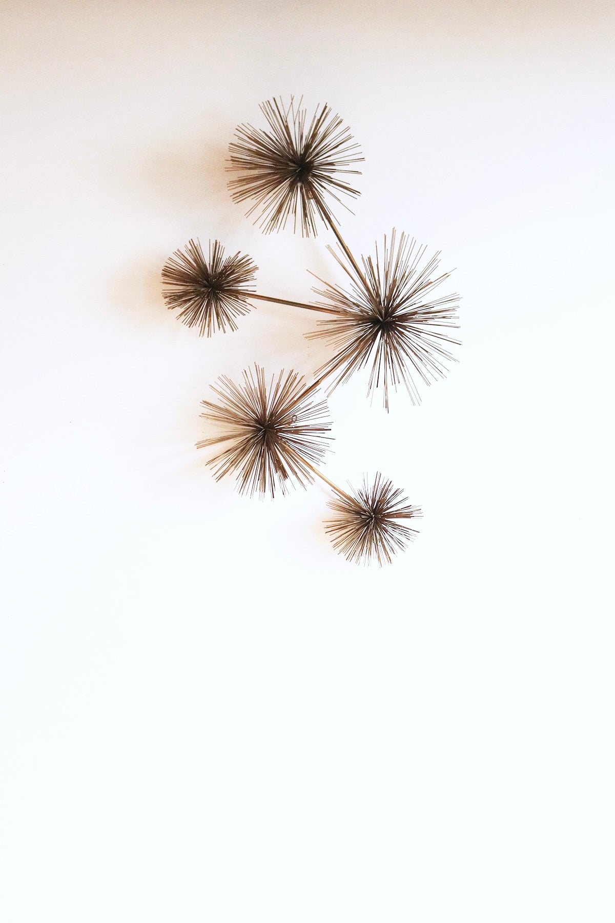 Curtis Jere Pom Pom
