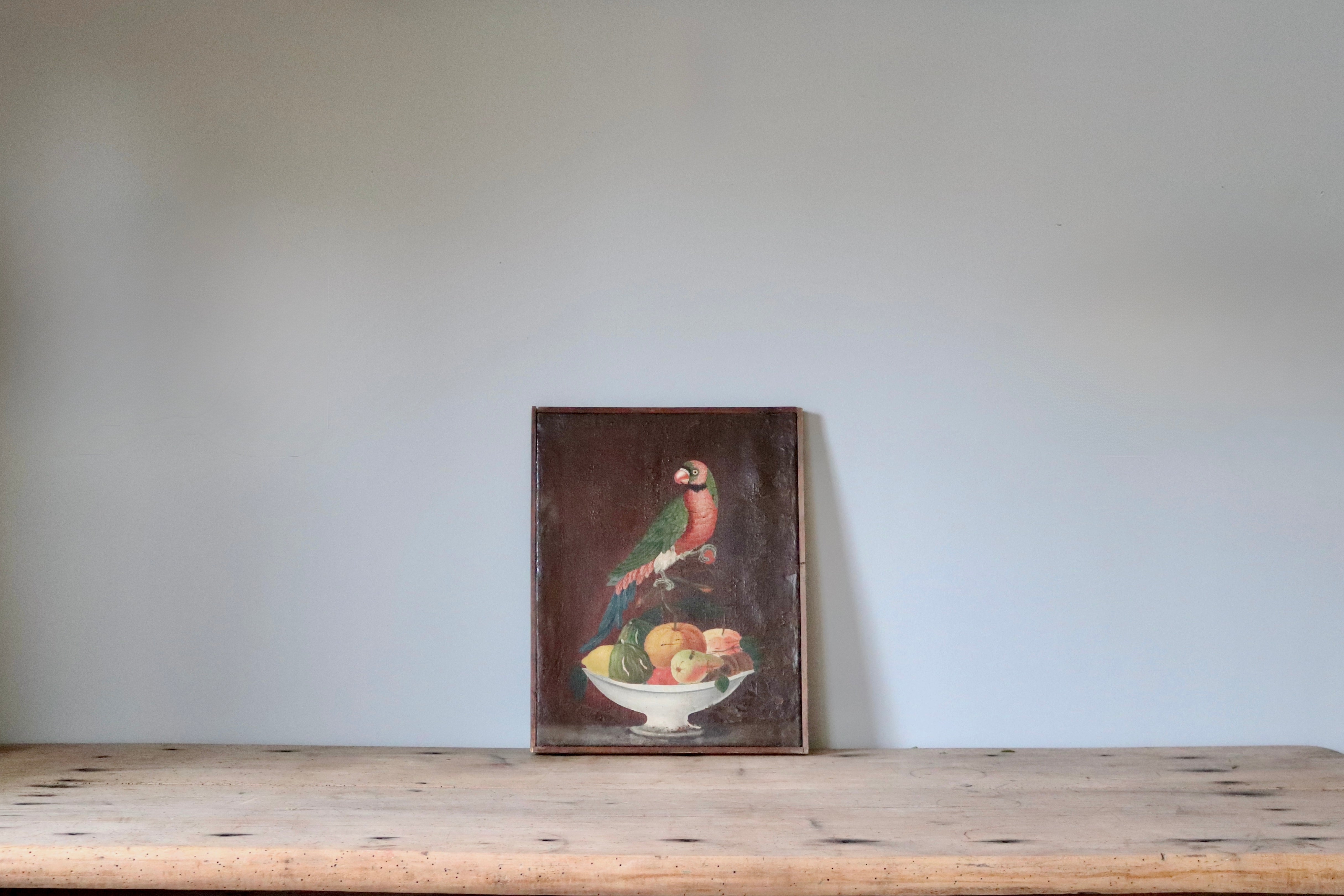 Italian Oil Painting Parrot