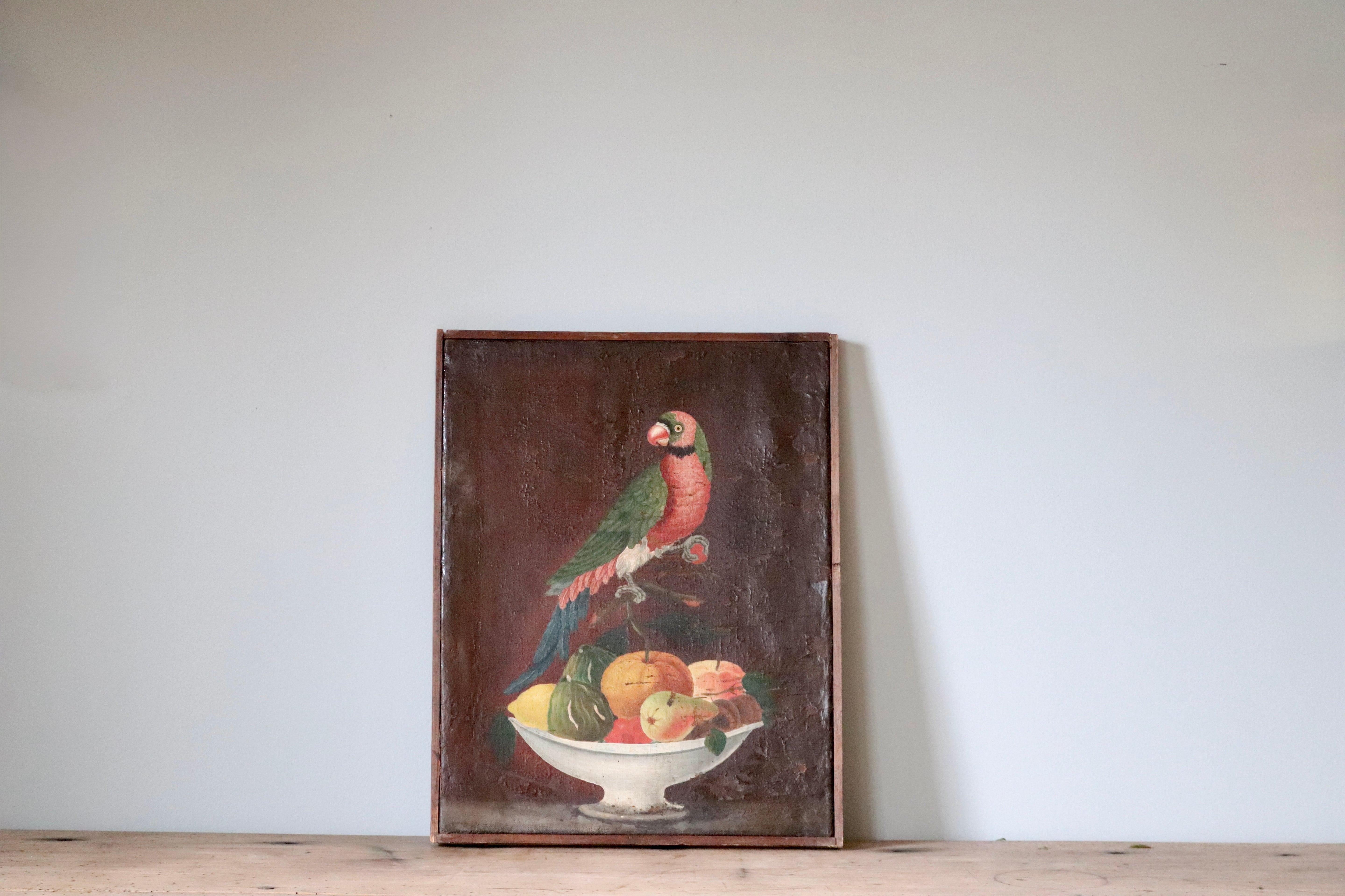 Italian Oil Painting Parrot