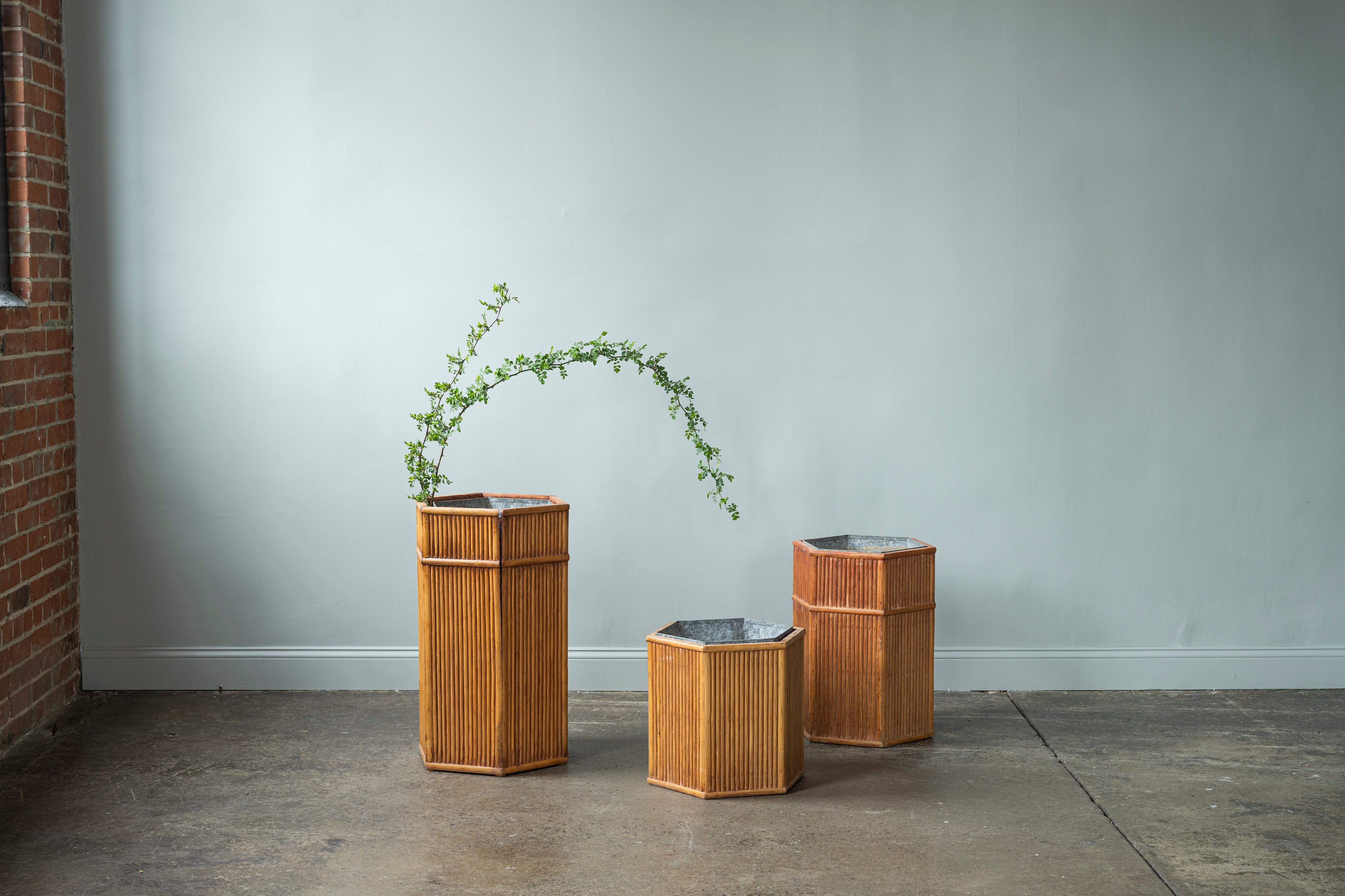 Bamboo Planters